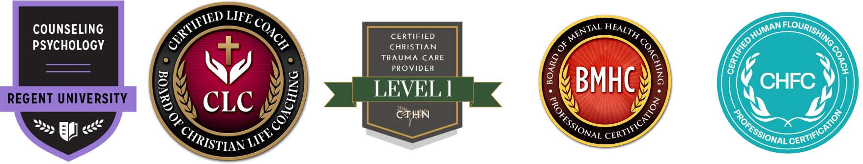 Toyin Adefemi's professional certifications and credentials